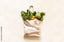 SUMMER PRODUCE: THE BEST FOODS TO SAVOR DURING THE SUNNY SEASON